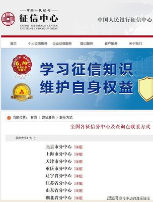 2020最新版全面介紹 個(gè)人征信報(bào)告查詢指南與征信狀態(tài)解析